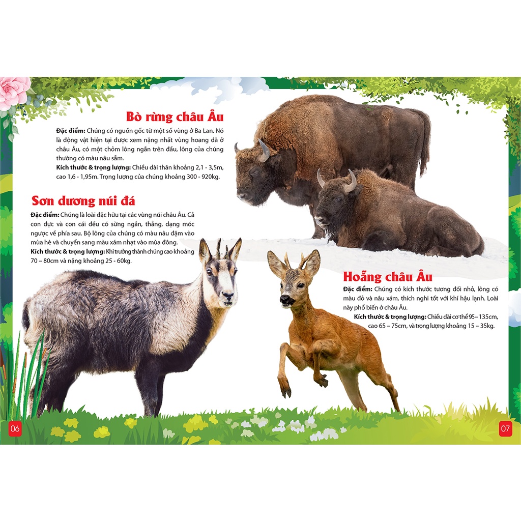 Khám Phá Động Vật 5 Châu Châu Âu -