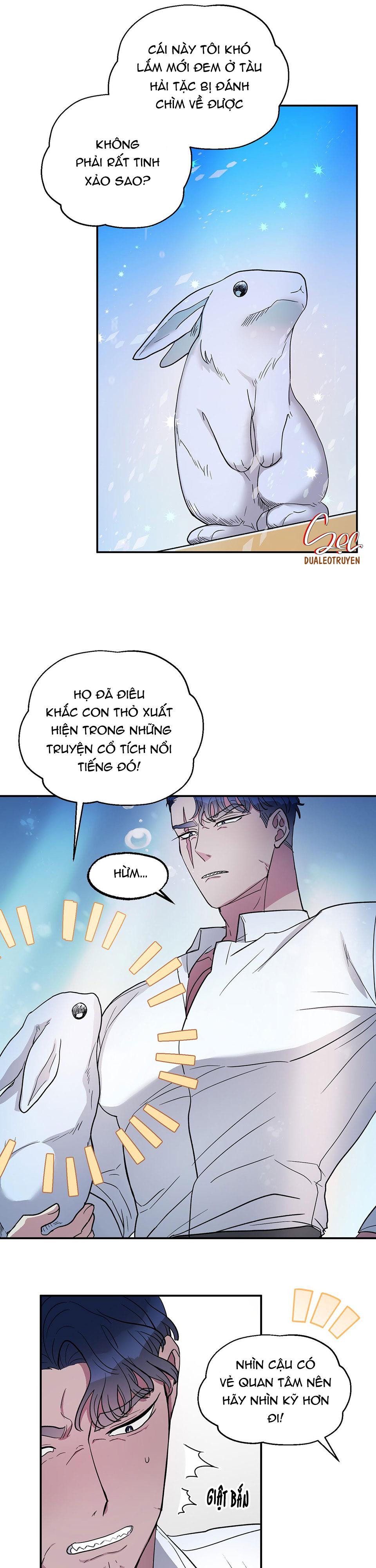 cá mập và cô dâu thỏ chapter 1 10