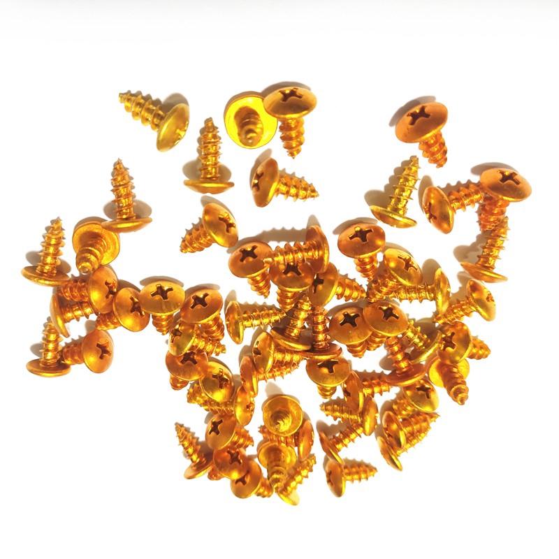 Bộ 30 Ốc Vít M5x16 Đầy Màu Sắc Dùng Trang Trí Xe Máy