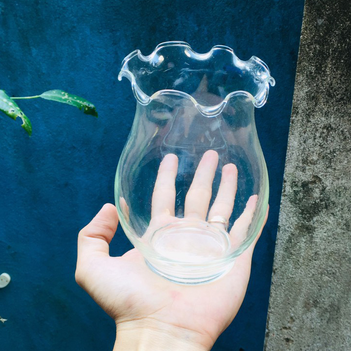 Chậu thủy tinh mini tai bèo , bể cá mini