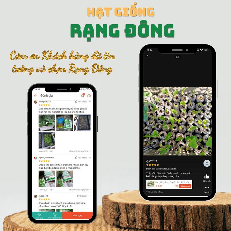 Hạt giống Cần Tây Thera (5g~7000 hạt) chiệu nhiệt tốt, nảy mầm đồng đều, năng suất cao - Hạt giống Rạng Đông