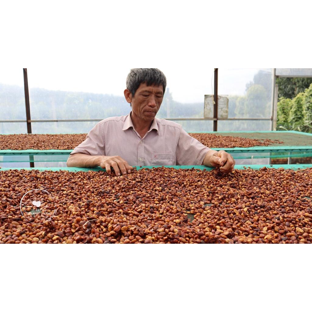 Robusta Honey - Cà phê chất lượng cao, hương thơm ngọt ngào - Cà phê pha phin/ pha máy |500gr|