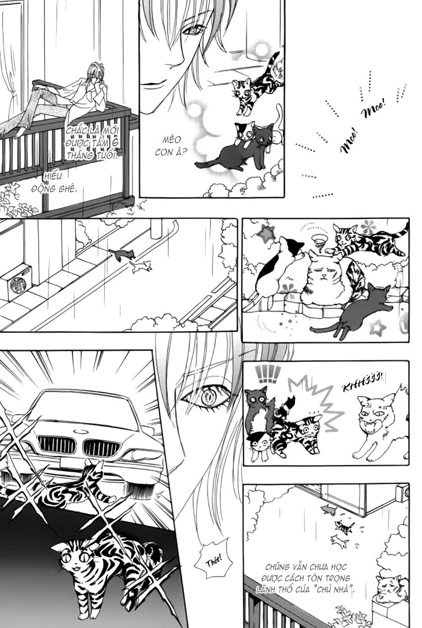 new pet shop of horror chapter 12 11