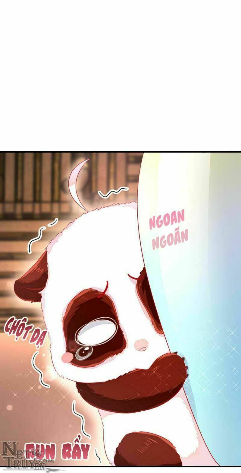 thiên thần gấu trúc muốn được ôm chapter 42 4