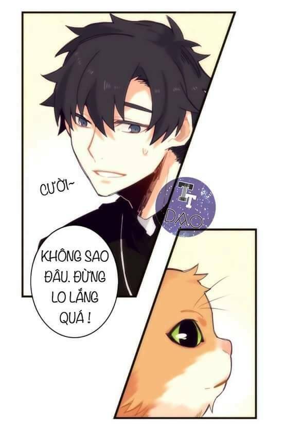 biểu đồ của linh mục chapter 4 27