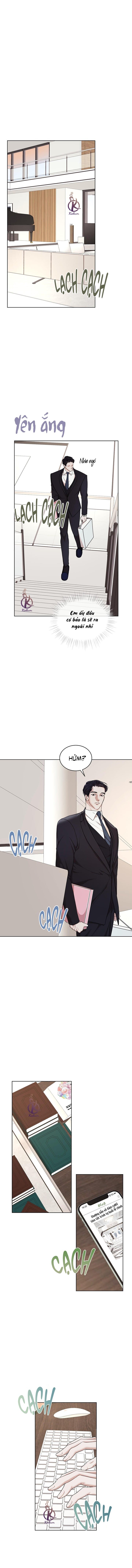 hình thái khởi sinh chapter 80 1