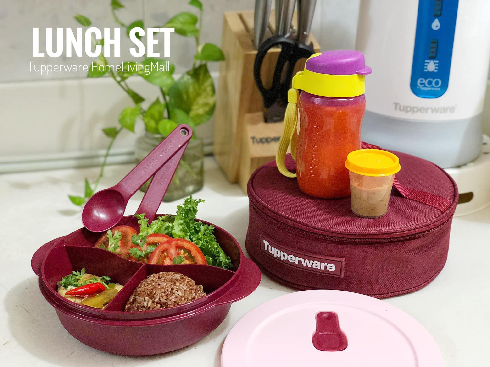 Bộ Hộp Cơm Chia Ngăn Tupperware Crystalwave Lunch Set