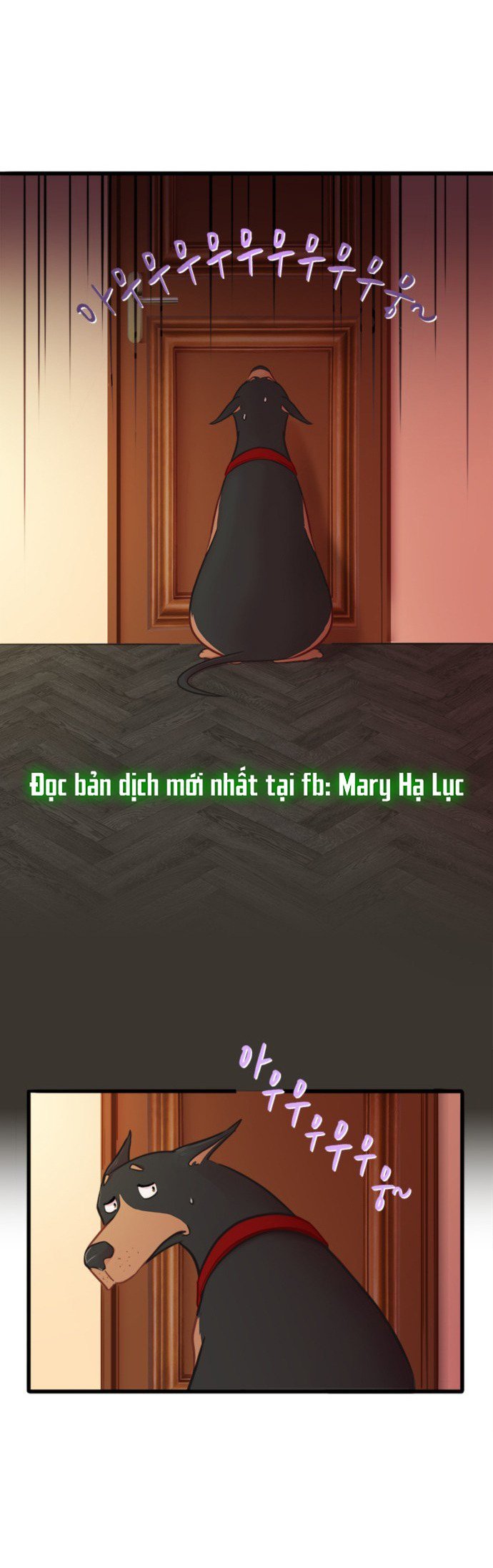 chú cún của em thật đáng yêu chapter 1.1 14