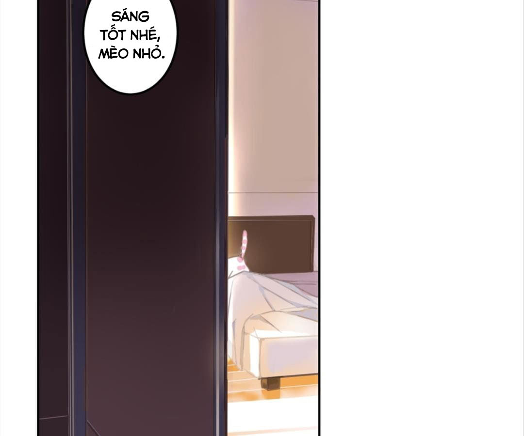 social cat chapter 1 48