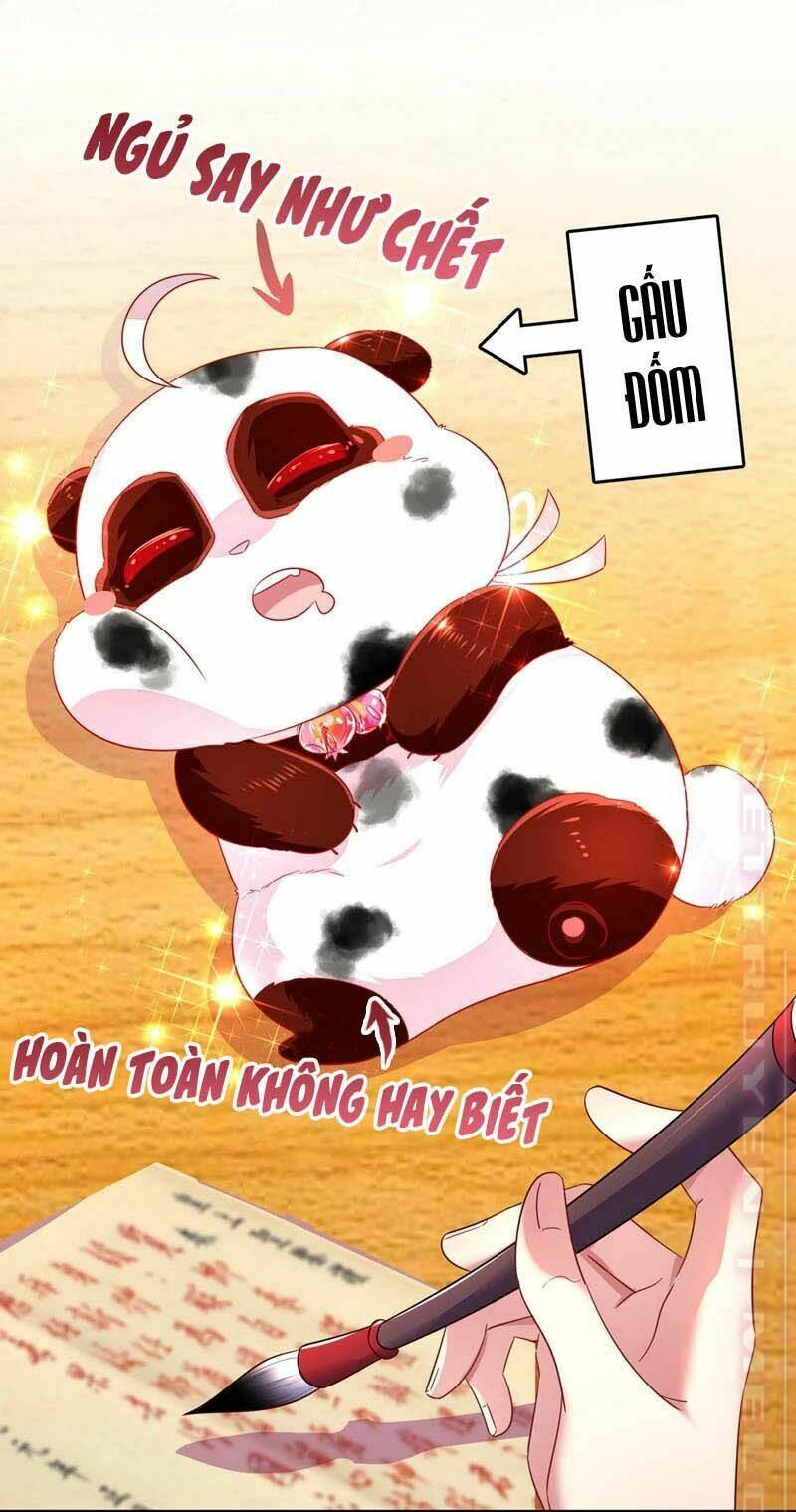 thiên thần gấu trúc muốn được ôm chapter 62 14