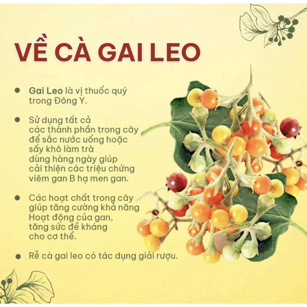 Trà cà gai leo hòa tan Hygie hộp giấy 120g - tiện lợi, thơm ngon, đậm đặc, hiệu quả giải độc gan