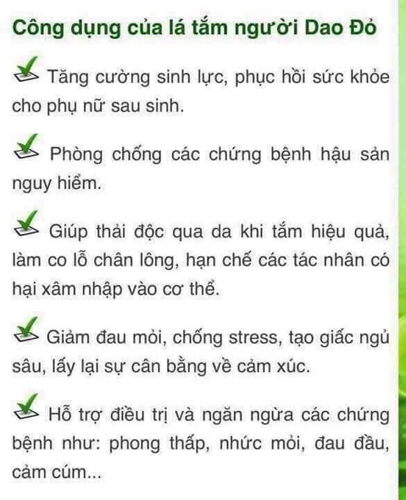Lá tắm người Dao đỏ