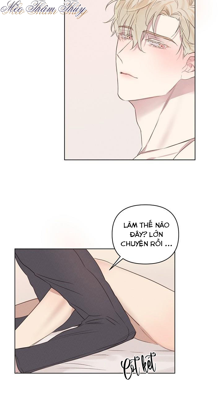 nơi tình yêu định mệnh chapter 3 27