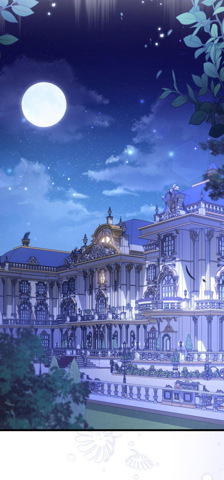 mối liên kết giữa báo đen và bé thỏ chapter 62 24