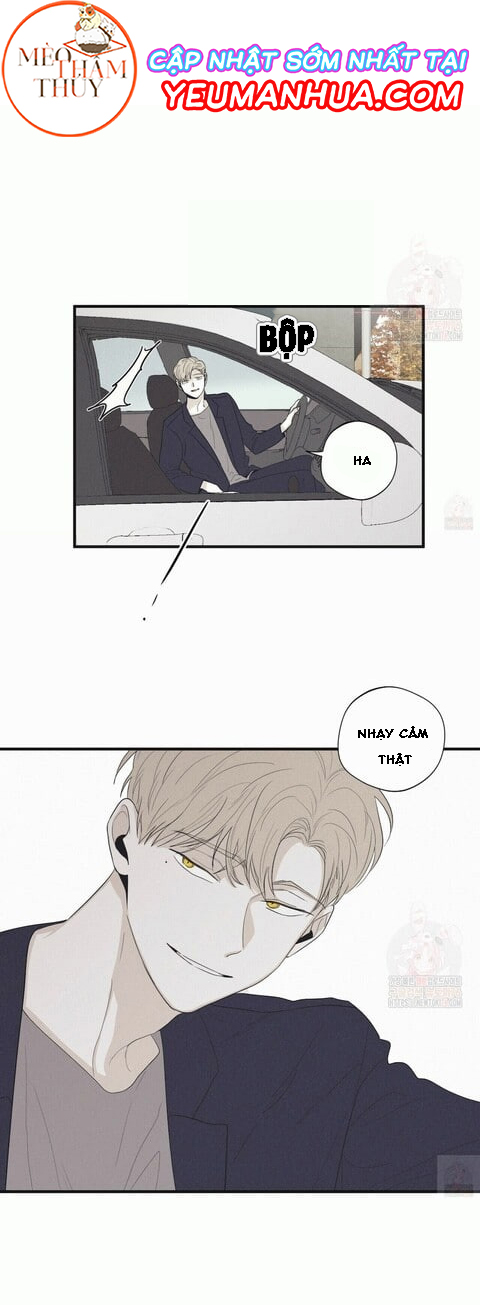 chiếu tướng chapter 17 16