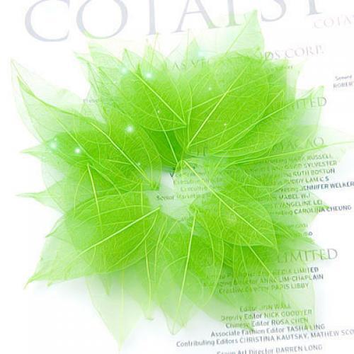 100 Pieces Natural Plant Leaves for Craft Cards Scrapbooking Bookmark DIY