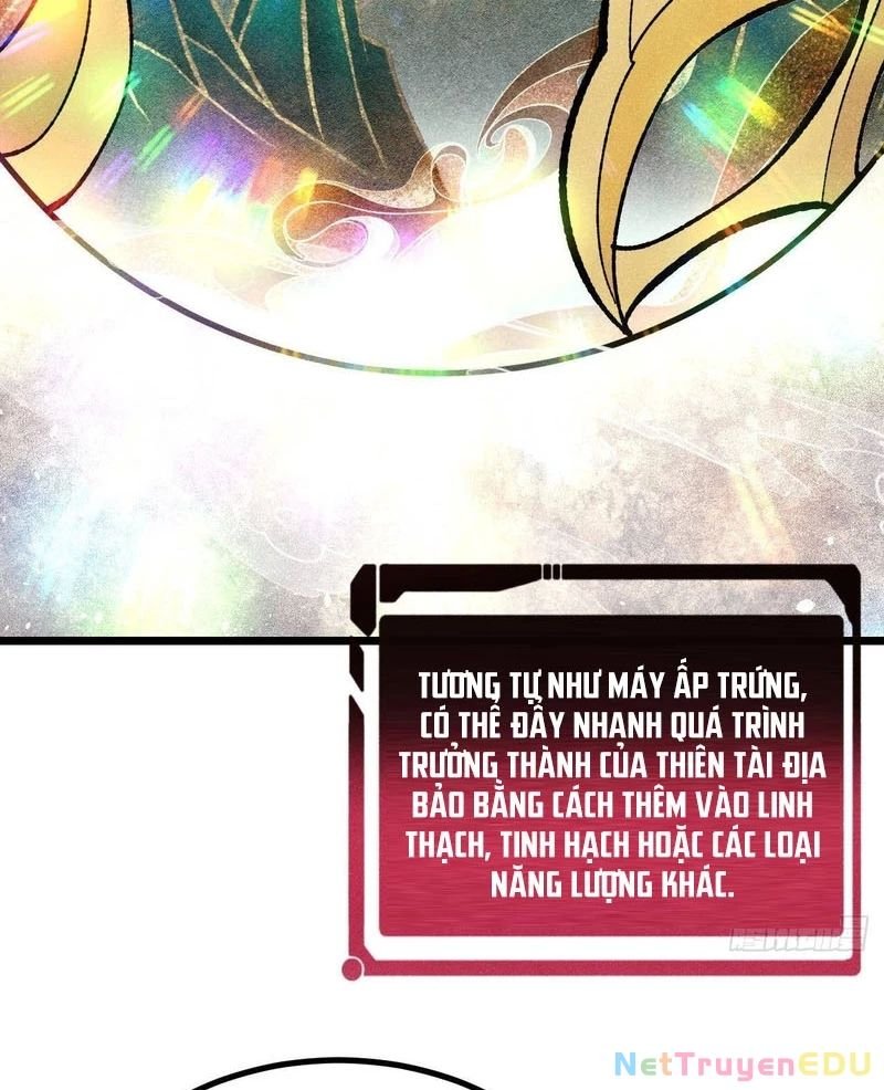 vạn cổ tối cường tông chapter 399 27