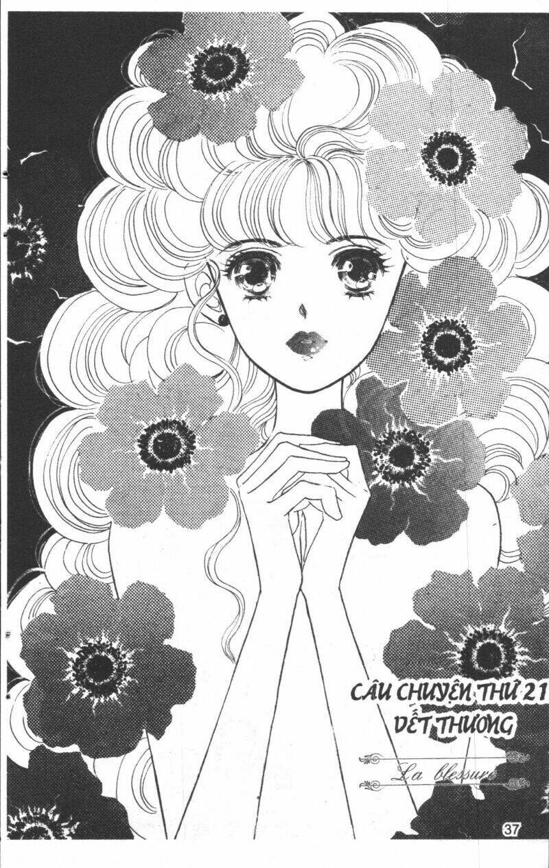 bibi iris chapter 5 37