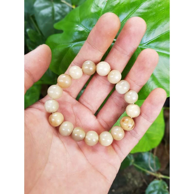 Vòng tay nữ hạt tròn 10 li bằng sừng trắng gạo
