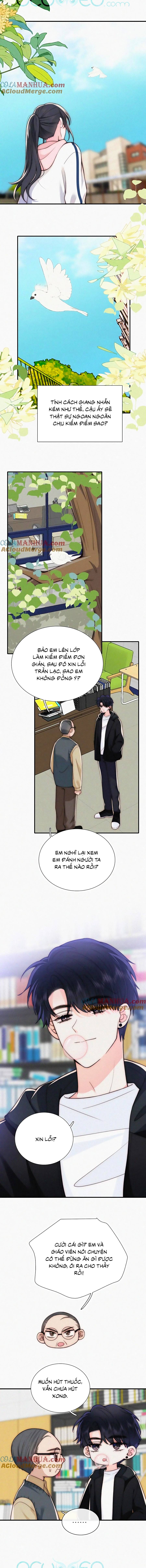 vẫn cứ nuông chiều chapter 55 6