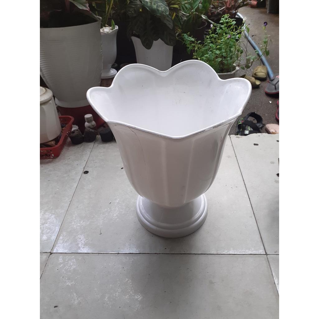 Combo 2 chậu nhựa chân đế hình hoa loa kèn