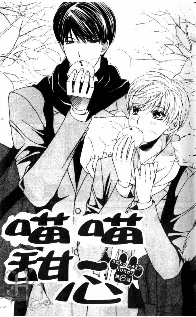 neko neko honey chapter 6 2