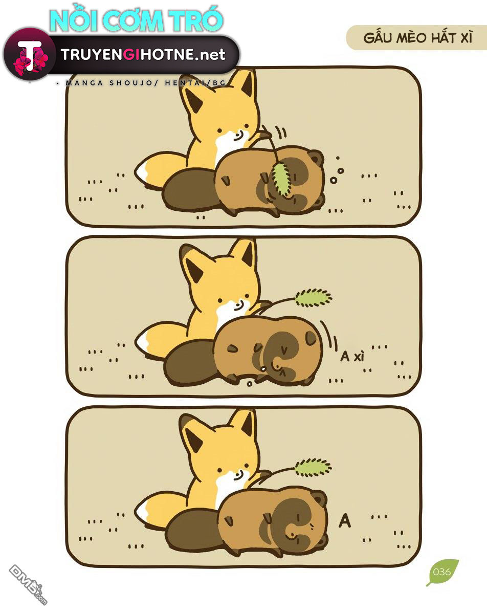 cáo và gấu mèo chapter 10 13