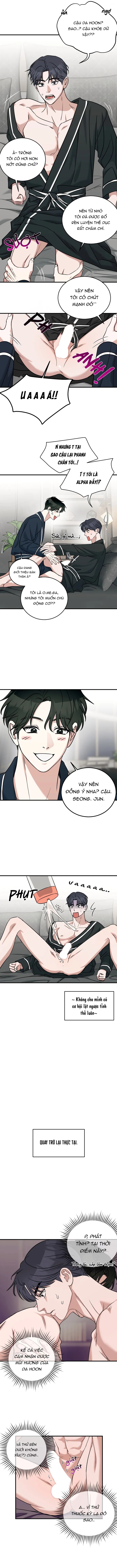 tôi không phải beta đâu nhé! chapter 2 8