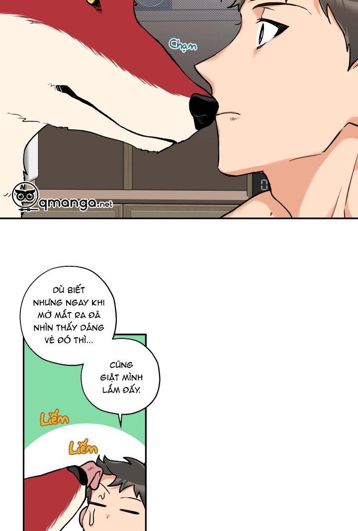 gâu gâu! chapter 12 12