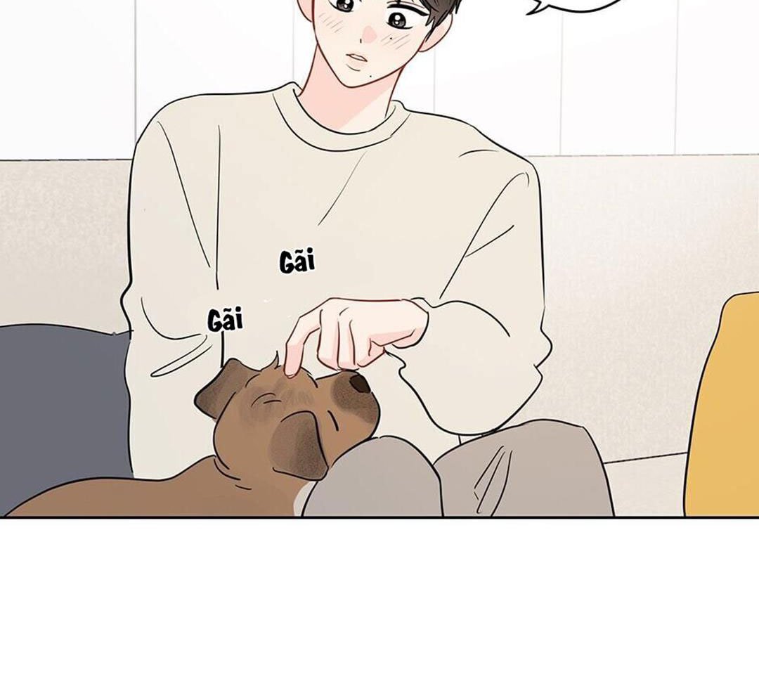 chuyện quái gì với giấc mơ đó vậy chapter 41 64