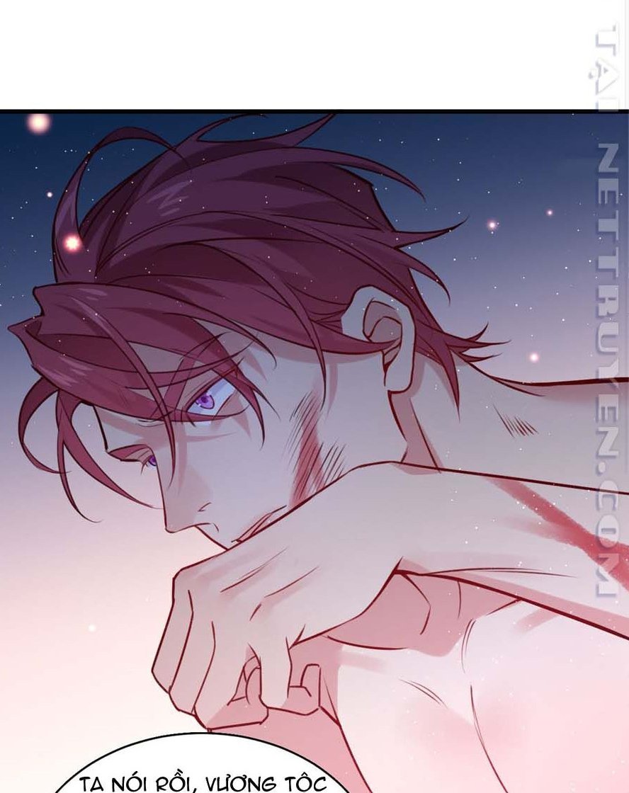 lang quân, xin đừng...! chapter 68 26