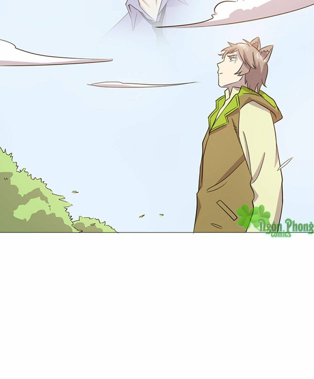 hai chú mèo totem chapter 39 42