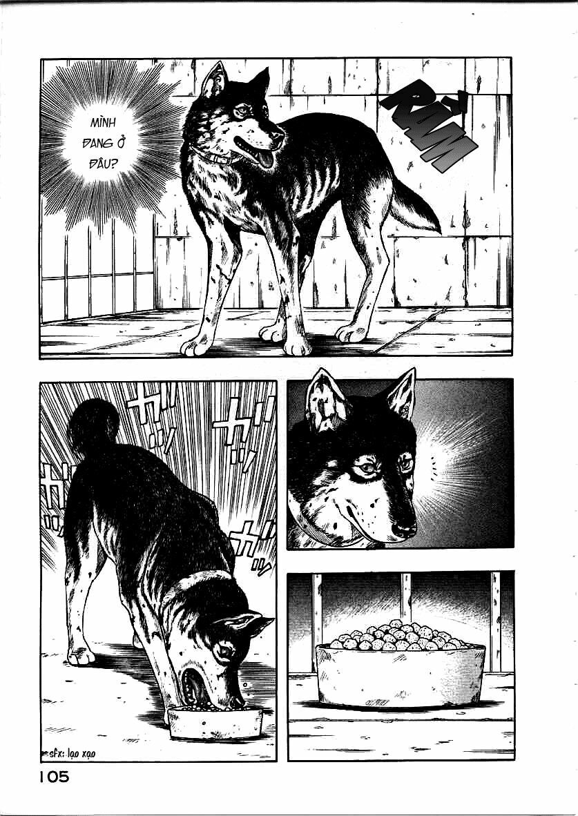 inugami chapter 12 23