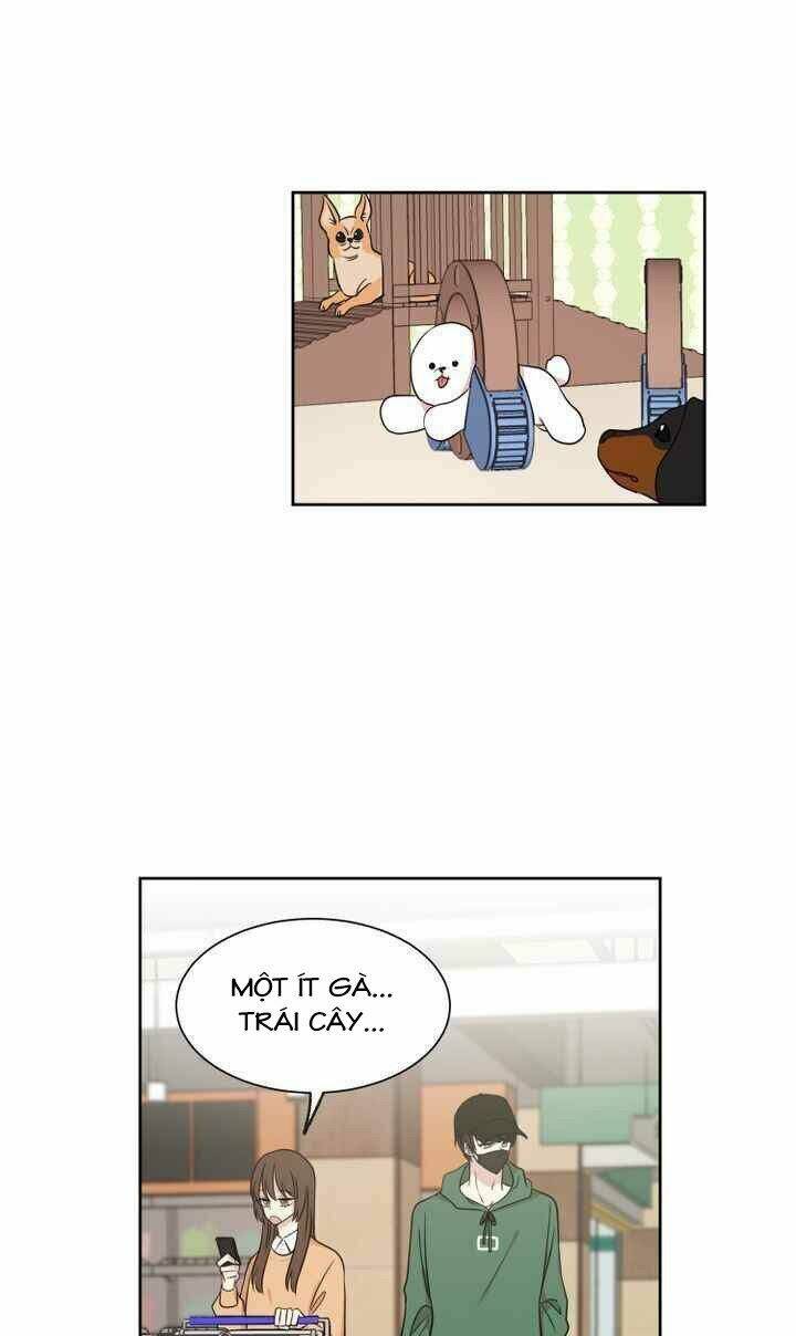 idol sống trong nhà tôi ! chapter 3 51