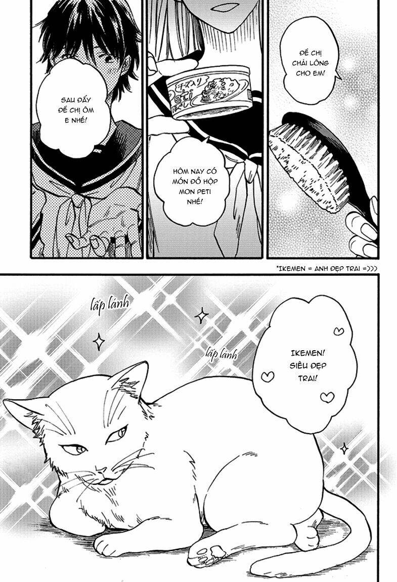 tui là busamen! chapter 1 13