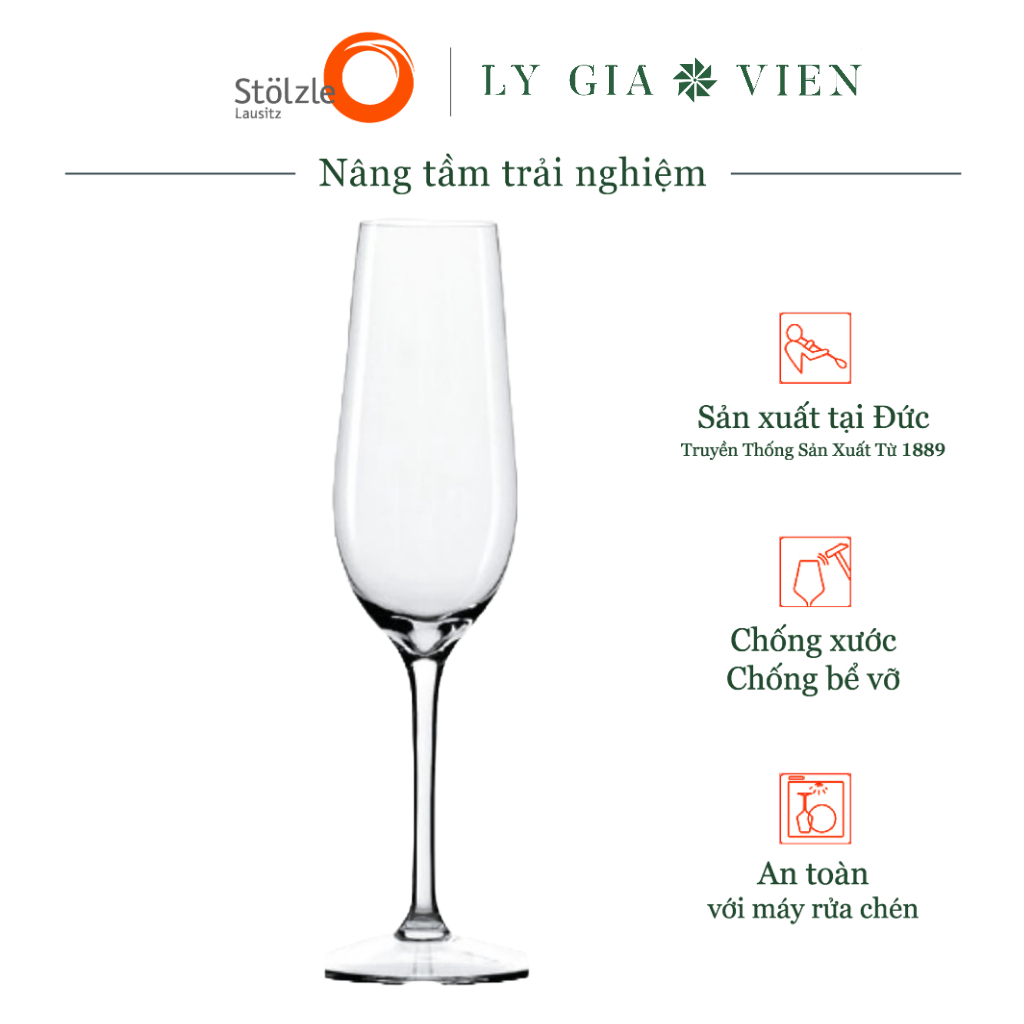 Ly Champagne Flute Stoelzle Event Flute Champagne Glass 195ml - Thiết Kế Cổ Điển, Phong Cách Vượt Thời Gian, Bền Và Ổn Định, Hoàn Hảo Cho Các Buổi Tiệc Tùng Tại Nhà