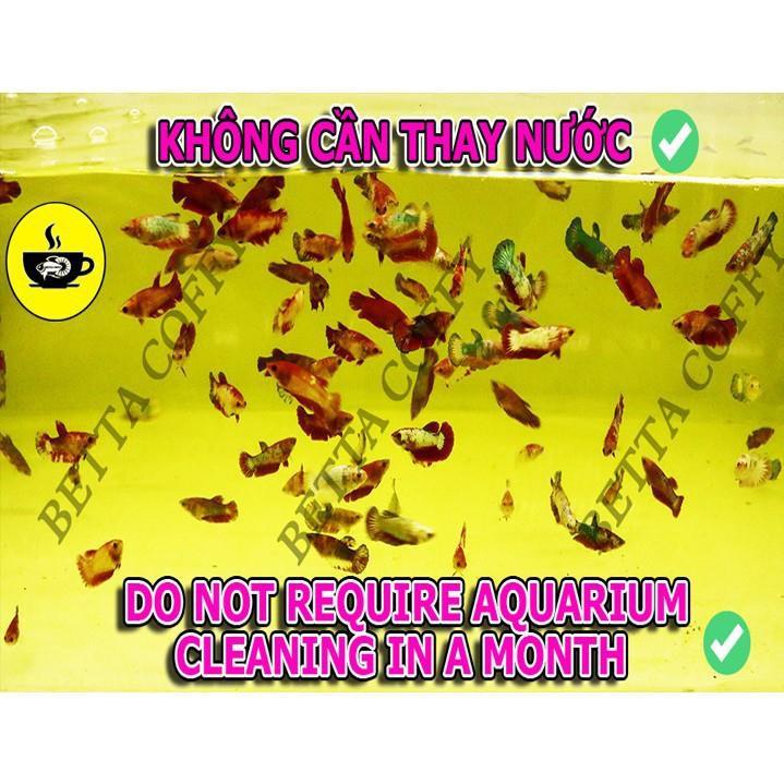 Clear master - siêu lọc nước