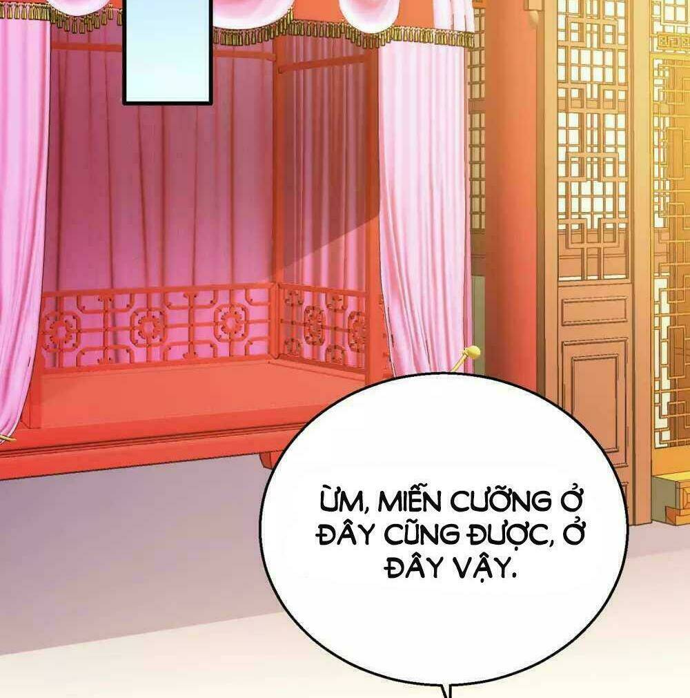 xuyên nhanh - hướng dẫn tự cứu của nữ phụ chapter 6 3