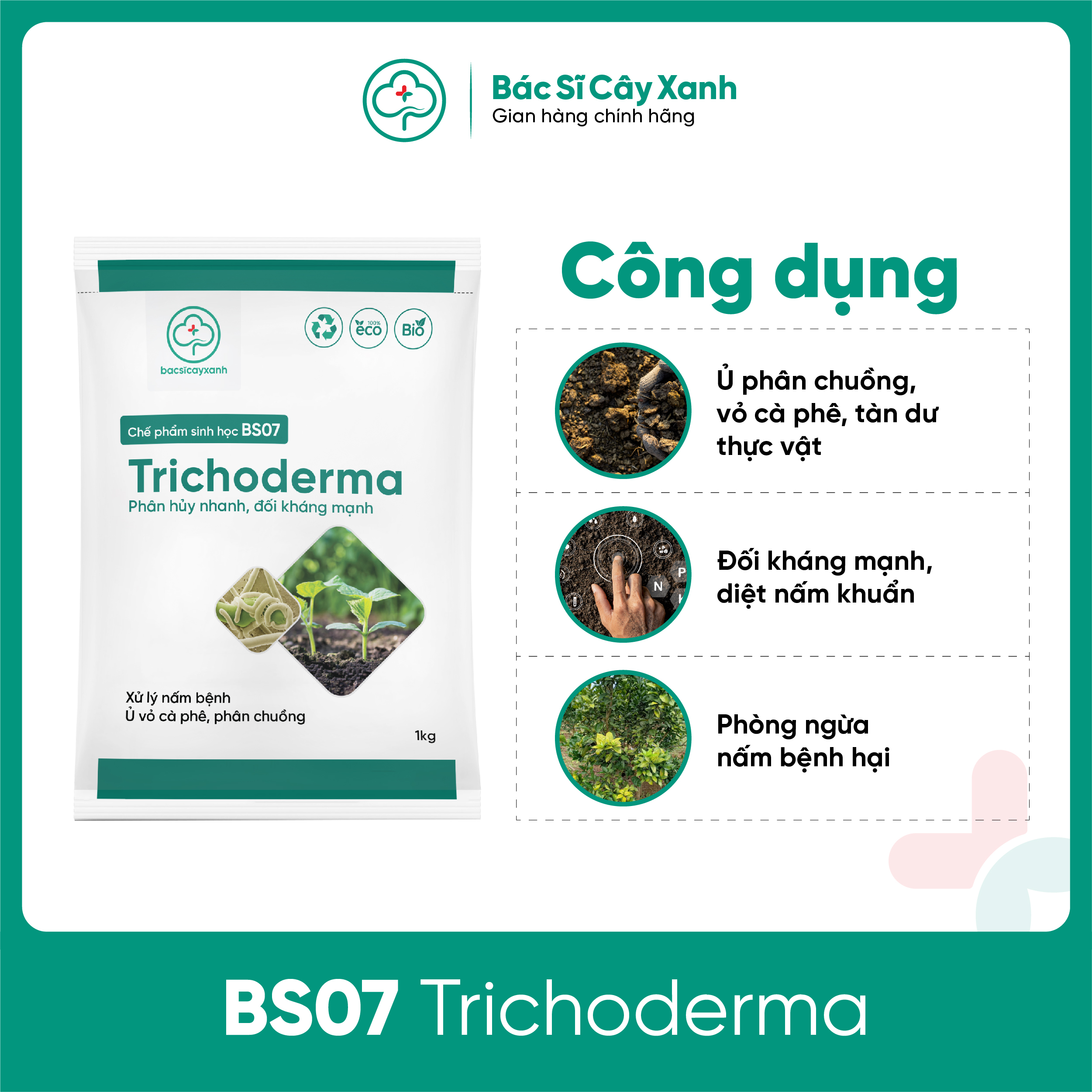 Trichoderma Chế phẩm ủ phân, phân huỷ vỏ cà phê, diệt nấm đối kháng, mầm bệnh trong đất BS07 1kg NSX Bacsicayxanh