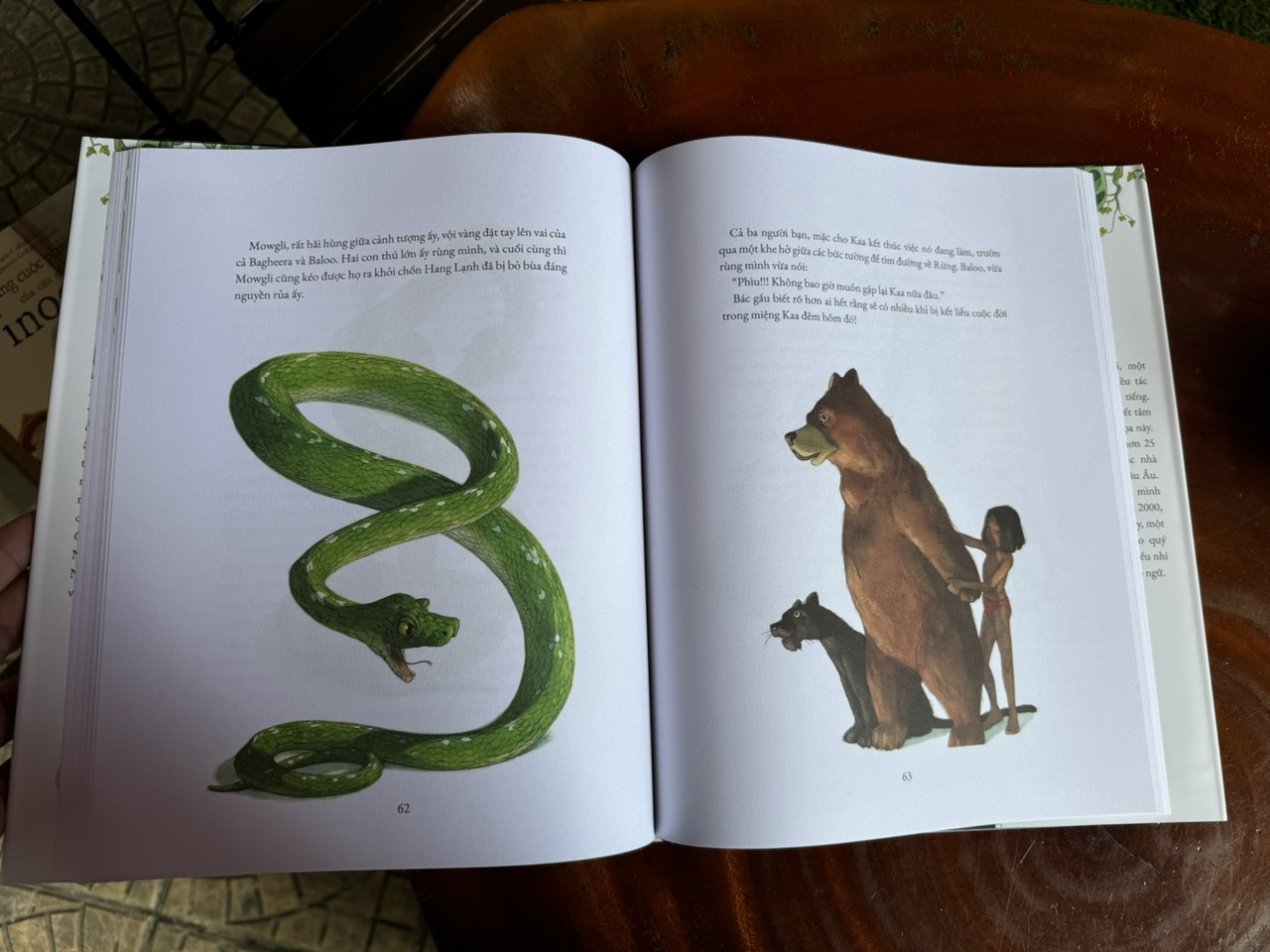 (Bìa Cứng, In Màu) CHUYỆN RỪNG XANH - Rudyard Kipling - Crabit Kidbooks