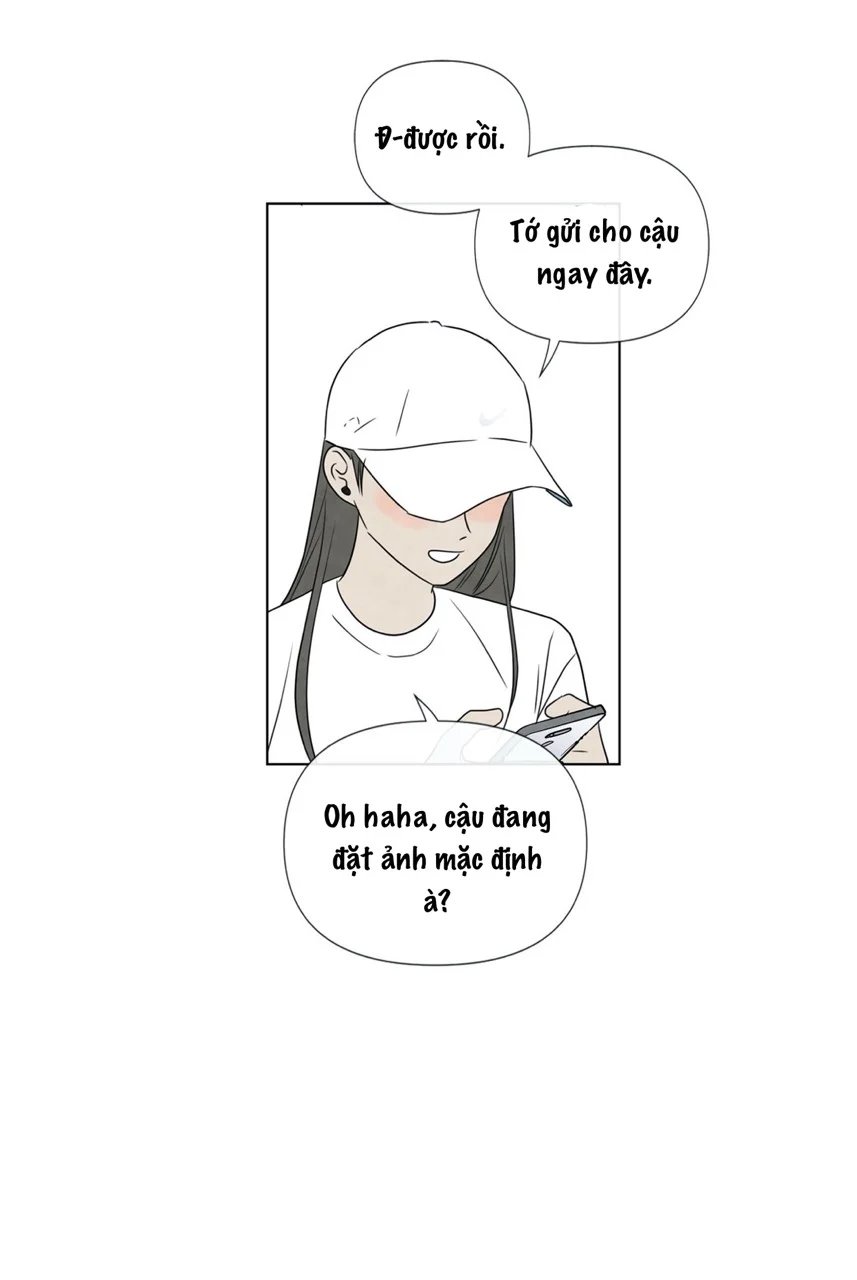 summer solstice point chapter 11 19