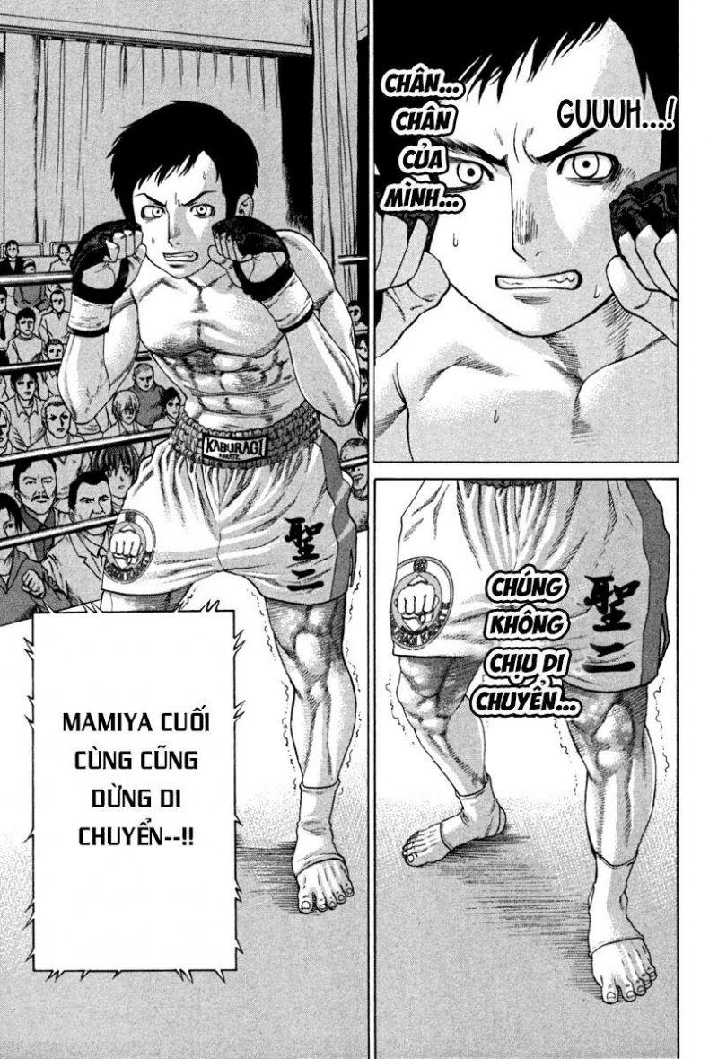 karate shoukoushi kohinata minoru chapter 190 15