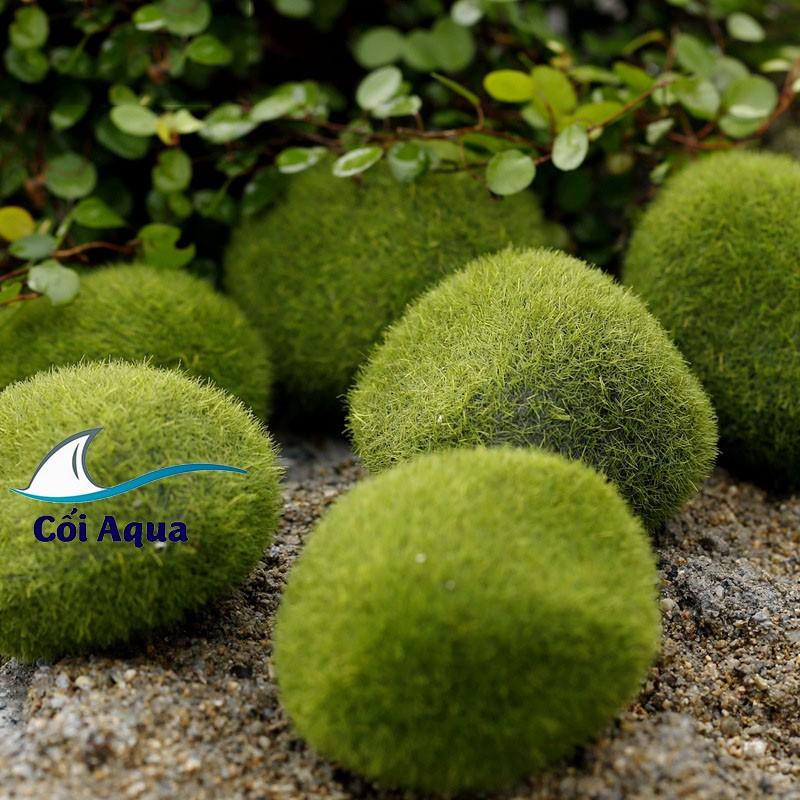 Tiểu cảnh mini ️ Viên đá giả rêu nhiều kích thước trang trí tiểu cảnh, sen đá, sân vườn, terrarium