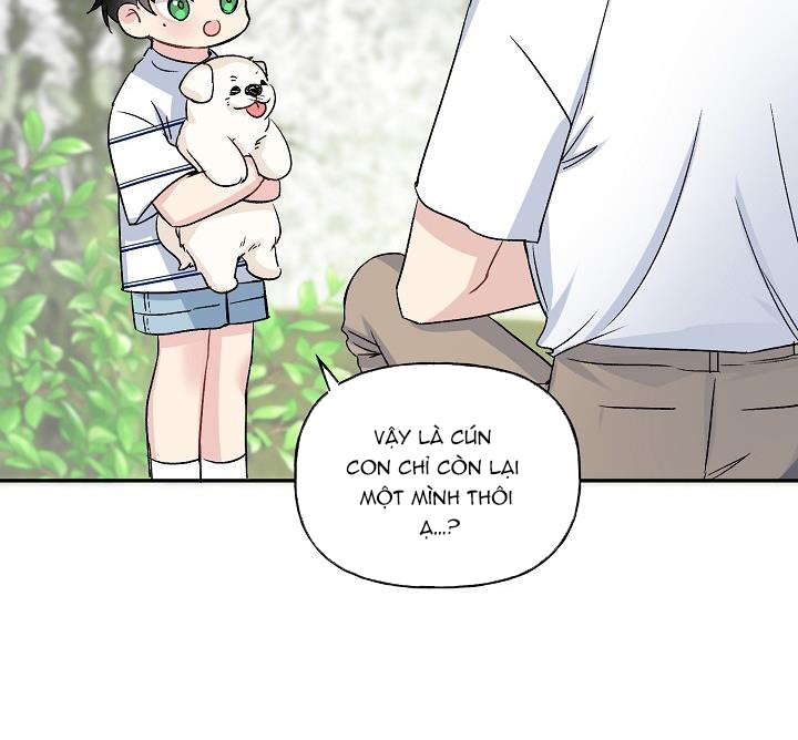 xác suất tình yêu chapter 38 37