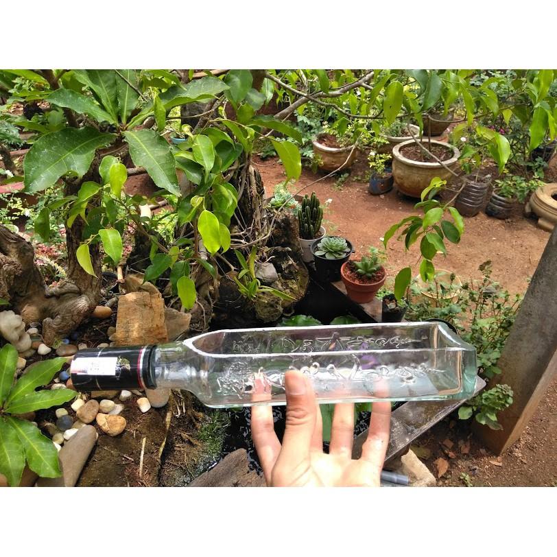 Chậu thủy tinh làm từ chai, made hand