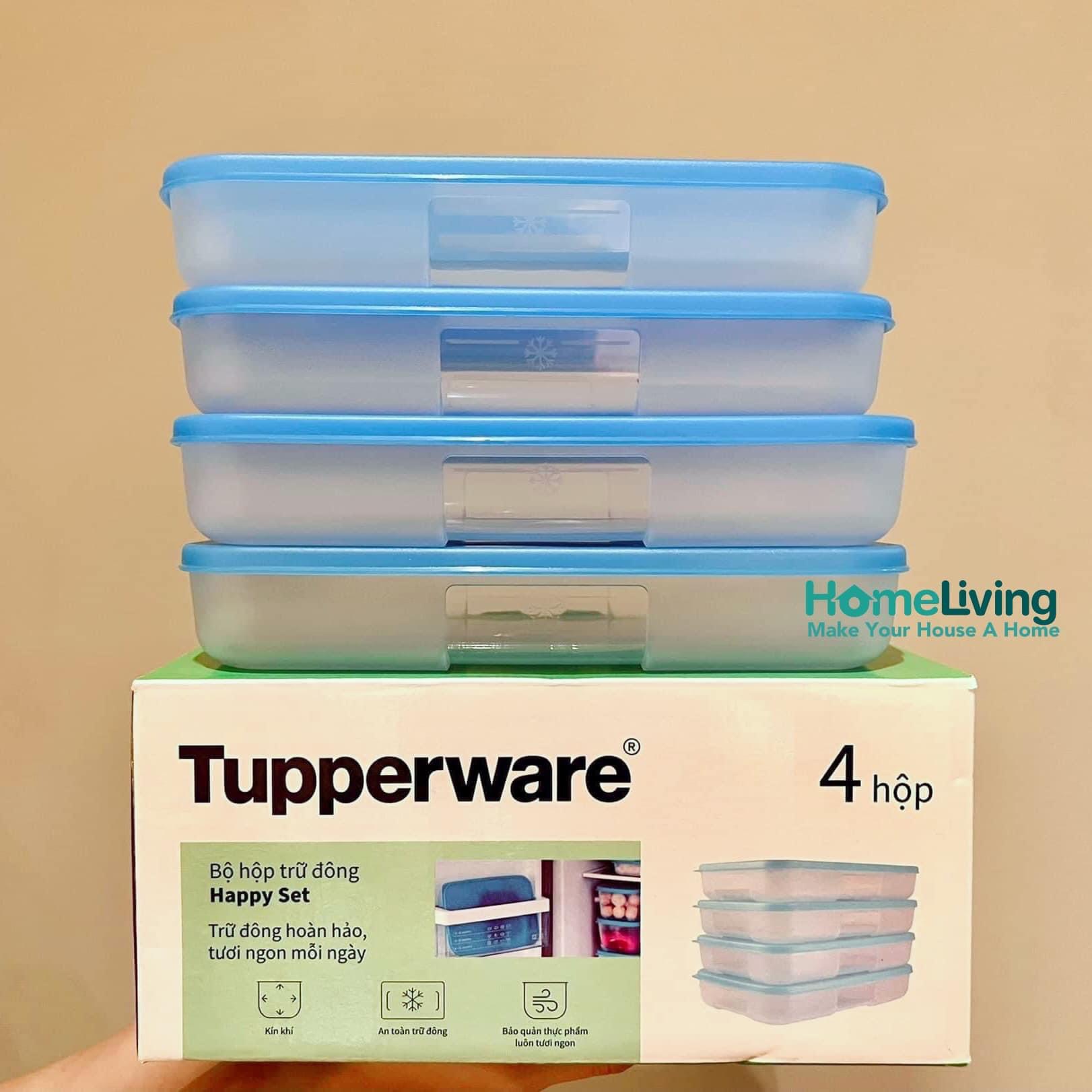 BỘ HỘP TRỮ ĐÔNG THẤP 550ML SET 4