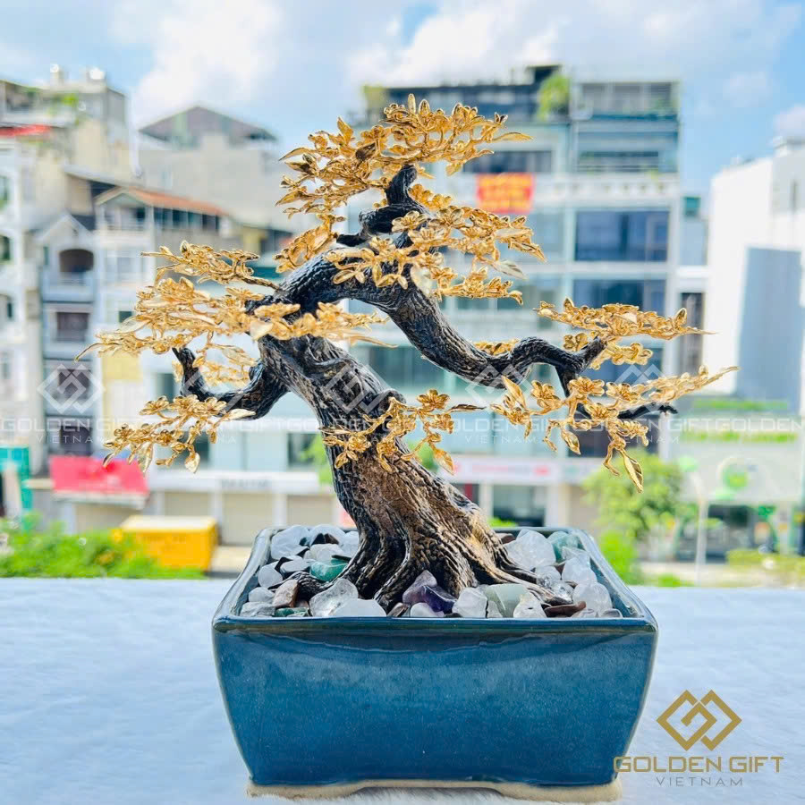 Cây Hoa Mai Ngũ Phúc