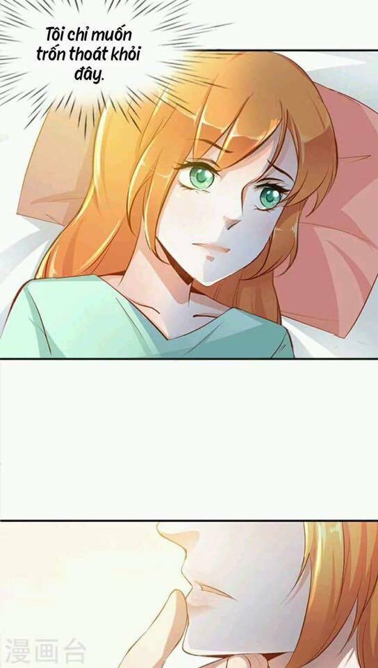 người vợ bí ẩn của tổng tài chapter 14 10