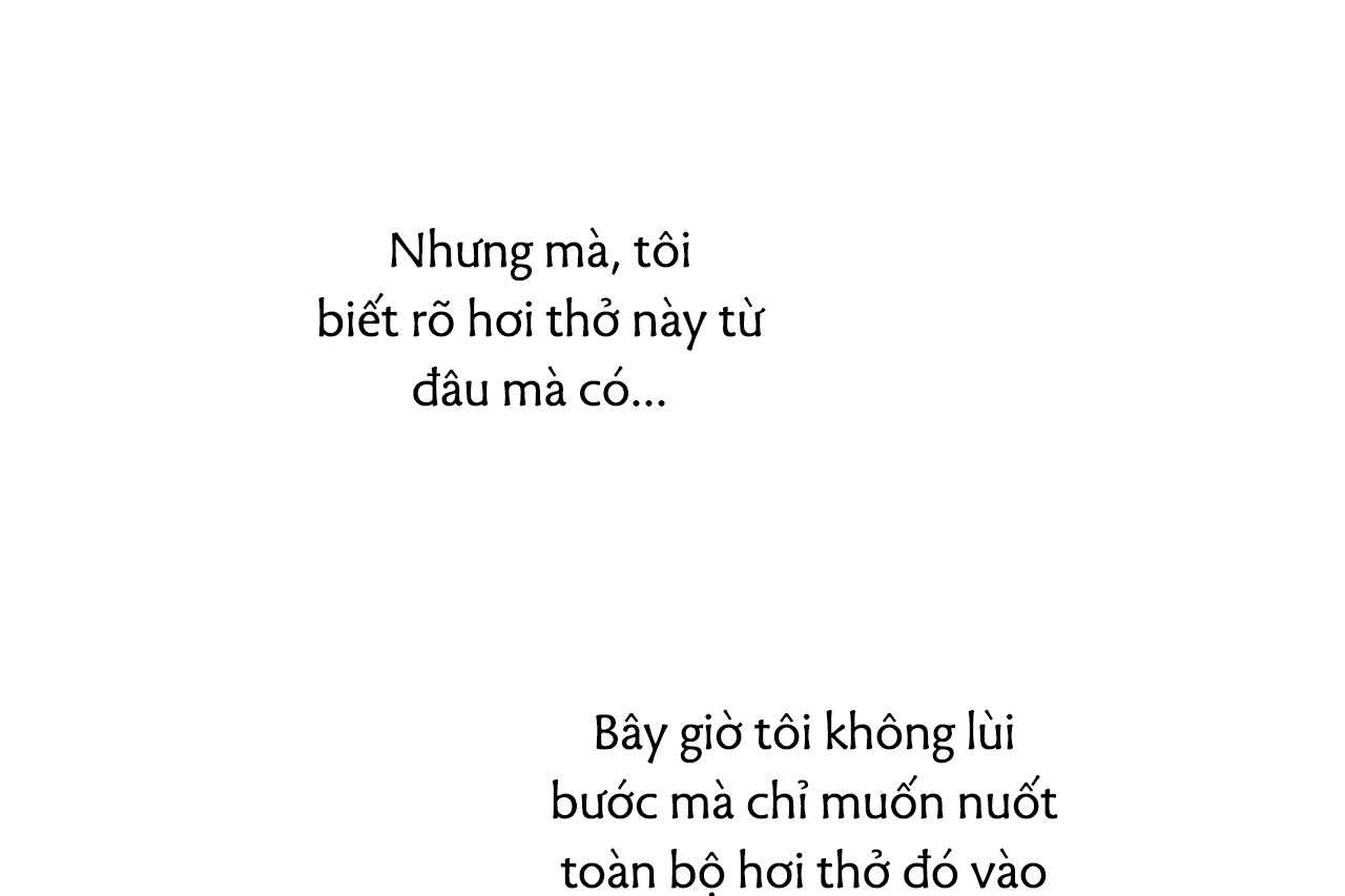 dải hợp âm trên đại dương xanh chapter 37 99