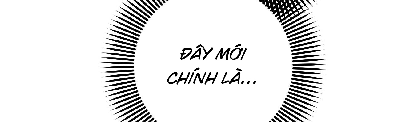 những chú thỏ của hapypy chapter 57 245